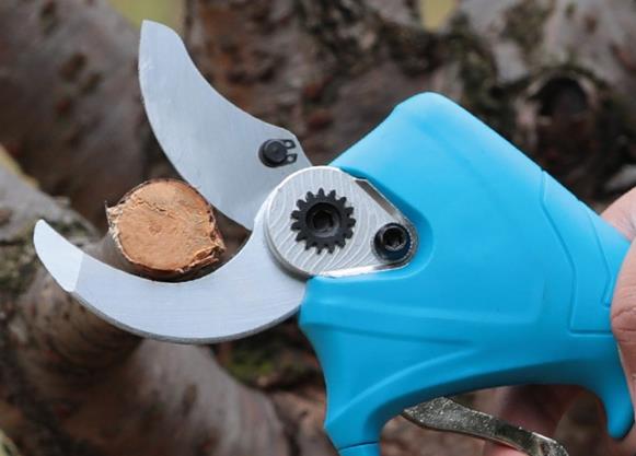 電動修枝剪購買前注意的事項